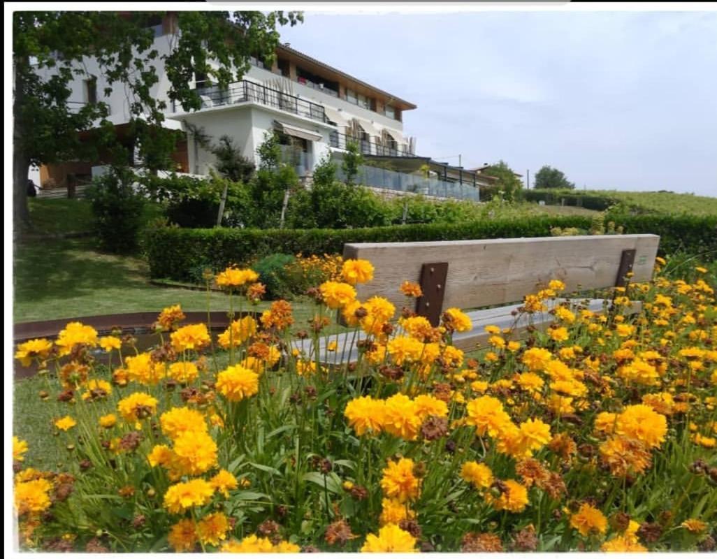 Hotel San Prudentzio Getaria Exterior photo